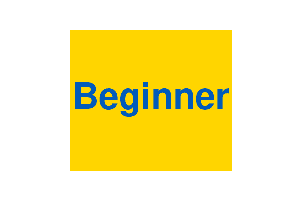 Beginner