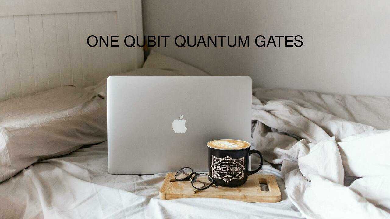 One Qubit Quantum Gates (for Quantum Computing Beginners)